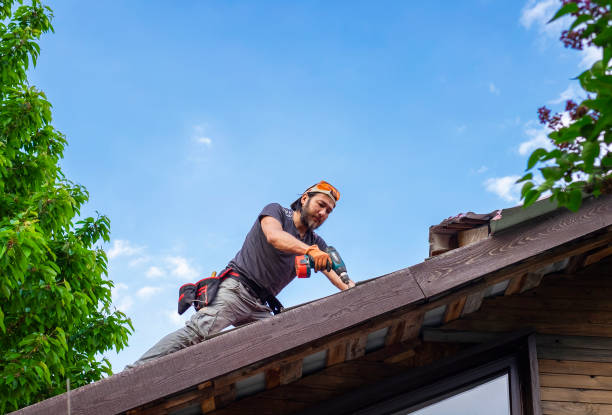 Best Green or Eco-Friendly Roofing Solutions  in USA